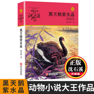 动物小说大王沈石溪品藏书系沈石溪动物小说儿童文学书老师 黑天鹅紫水晶升级版 6年级课外书正版 14岁小学生3 青少年读