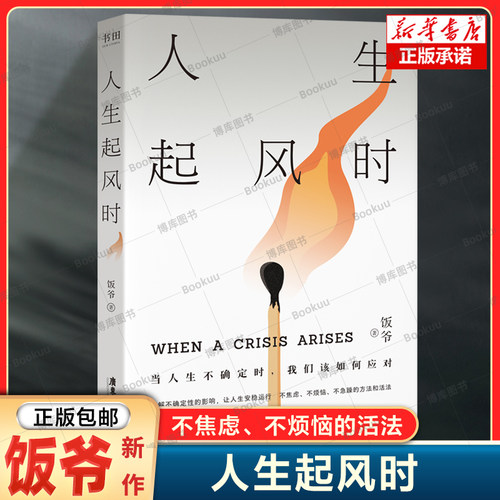 人生起风时 化解不确定性影响 让人生安稳运行 不焦虑、不烦恼、不内耗的活法 突破人生困境 人生励志成长书籍
