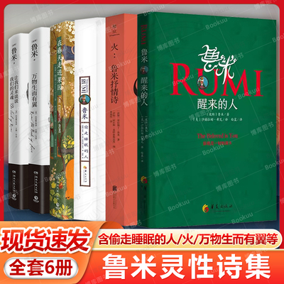 鲁米灵性诗集全6册 醒来的人+在春天走进果园+偷走睡眠的人+火+万物生而有翼+让我们来谈谈我们的灵魂苏菲派 现当代外国小说诗歌书