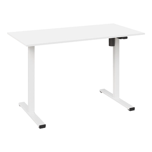 乐歌E5S/E5-N双电机智能电动升降桌实木居家办公电脑桌学习桌书桌