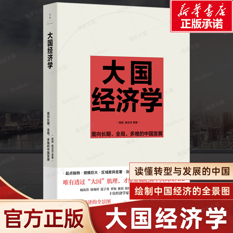 大国经济学：面向长期、全局、多维的中国发展 陆铭 杨汝岱等著 系统解读中国经济的通识之作 经济长期发展转型 置身事内 大国大城 书籍/杂志/报纸 中国经济/中国经济史 原图主图