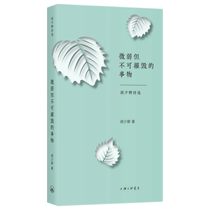 微弱但不可摧毁的事物(胡少卿诗选) 博库网