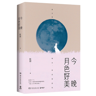 今晚月色好美 秋微著 书写都市爱情的温暖与感伤 存在的关系也许会结束 动过心的情感不会终止 青春小说书籍 正版