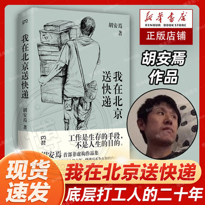 我在北京送快递胡安焉著