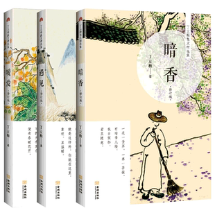 暗香+暖爱+遇见 套装3册 丁立梅散文集套装 丁立梅写给大家的自然情感生活美学 课外阅读书目 中国现当代文学散文丁立梅作品集正版