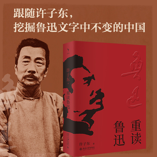 文学著作畅销书籍 书籍 鲁迅全集 北京大学出版 社 篇幅 许子东著 顺序56篇三十五万言 正版 官方正版 经典 重读鲁迅