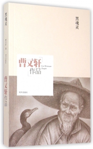 黑魂灵 博库网