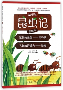 强盗 法布尔昆虫记彩绘本 红蚂蚁飞舞 绿蝇彩绘注音 博库网 清道夫 远征