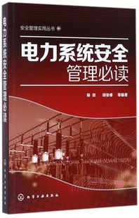 正版 电力系统安全管理必读 电力企业安全教育培训 电力企业现场作业安全技术安全生产标准工作程序 电力生产事故分析与防范书籍