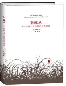 荆棘丛：关于法律与法学院的经典演讲 卢埃林代表作 法学经典美国法学院经典图书