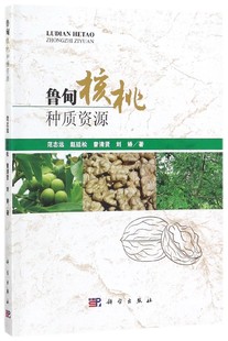 鲁甸核桃种质资源 博库网