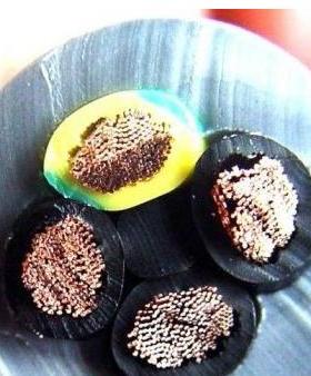 YVFR-3*240+120 耐寒电力电缆