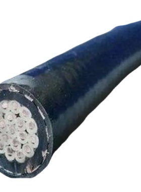 CJPF86/SC 10芯12芯14芯16芯18芯20芯24芯  多芯船用电力电缆