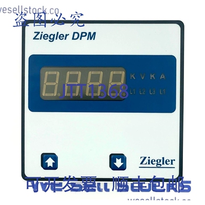 原装供应ZIEGLER DPM-PGD3V 数字电压表