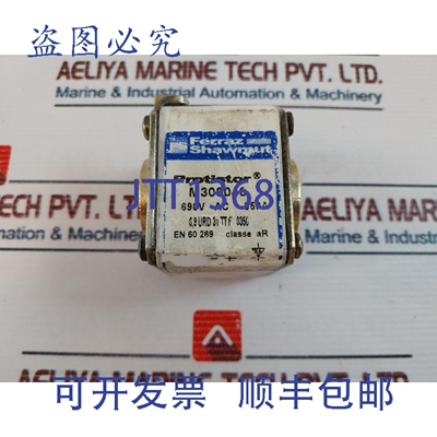 原装供应Ferraz Shawmut M300046 690VAC Protistor 保险丝
