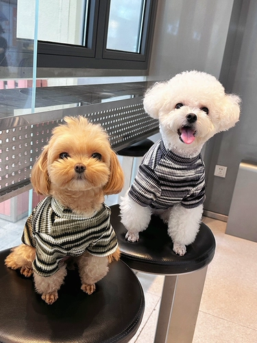 Y2k Star Gradient Sweet Cool Wind Pet T -Fork