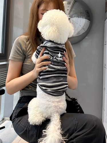 Y2k Star Gradient Sweet Cool Wind Pet T -Fork