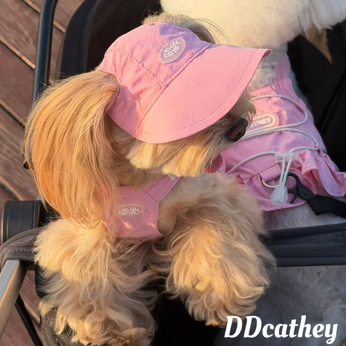 袋袋猫 小型犬狗狗帽子 户外防晒遮阳轻量化猫咪宠物棒球帽