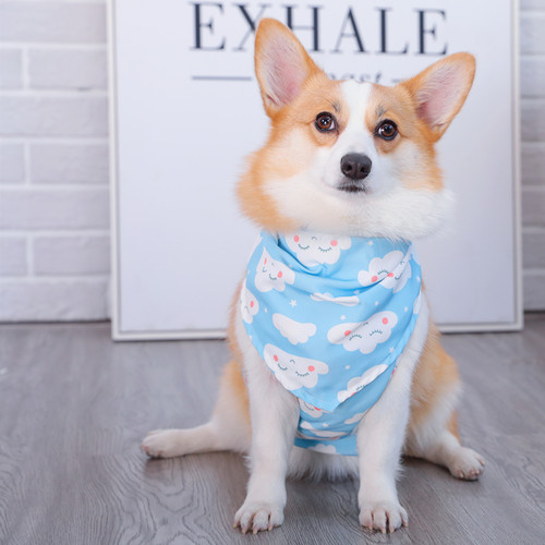 柯基肚兜防着凉中型犬狗狗雨衣