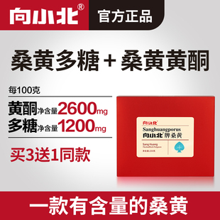 买3送1向小北桑黄粉桑黄菌精粉灵芝250g正品 非西藏桑树桑黄