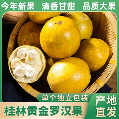 阳光漓江罗汉果茶质优好果