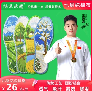 鸿运玫瑰小格花边十字绣鞋垫白板大码47码48码二十四节气新款结婚