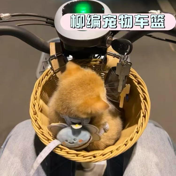 宠物车筐狗狗猫咪外出电动车前置