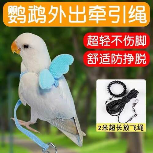 鹦鹉专用超轻牵引绳户外放飞遛鸟