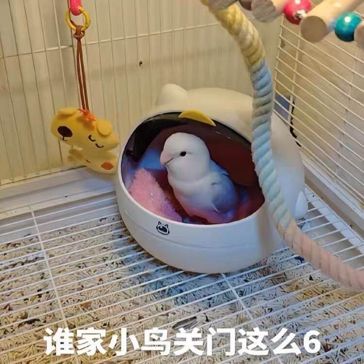 四季通用鸟巢鹦鹉专用繁殖窝