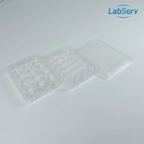 Labserv耗材细胞培养板TC处理