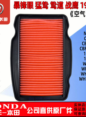 五羊本田暴锋眼190滤芯 战鹰 猛鸷190X滤芯 鸷道190SS空滤器190TR