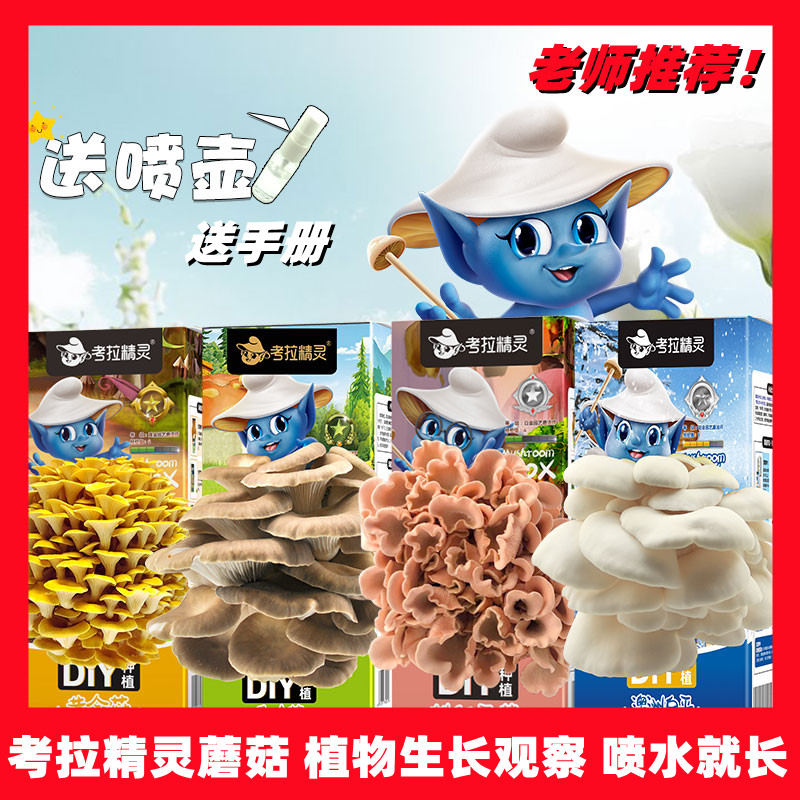 蘑菇种植盒拆开就能出蘑菇哦