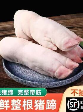 现杀猪蹄带筋整只猪脚散养猪蹄