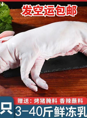 乳猪现杀乳猪整只速冻烤乳猪冰鲜小猪新鲜小乳猪烤乳猪酒店宴会
