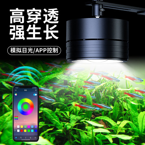 鱼缸筒灯爆藻筒灯中大溪流缸专用