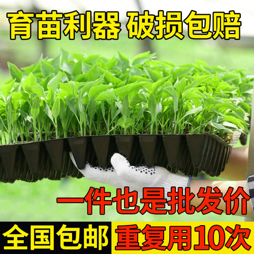 育苗盘营养塑料辣椒西瓜淇航穴盘