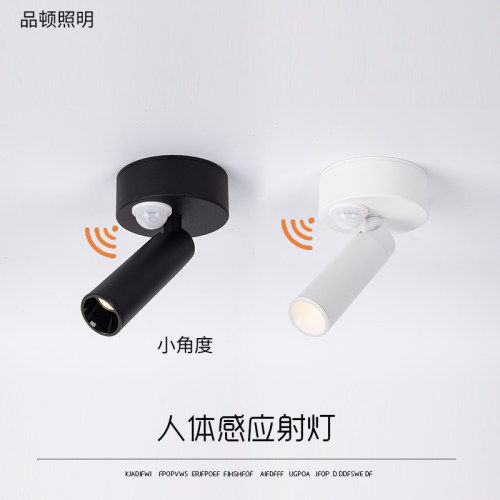 明装射灯全光谱可旋转
