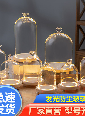 高脚发光灯槽手办玻璃罩永生花花