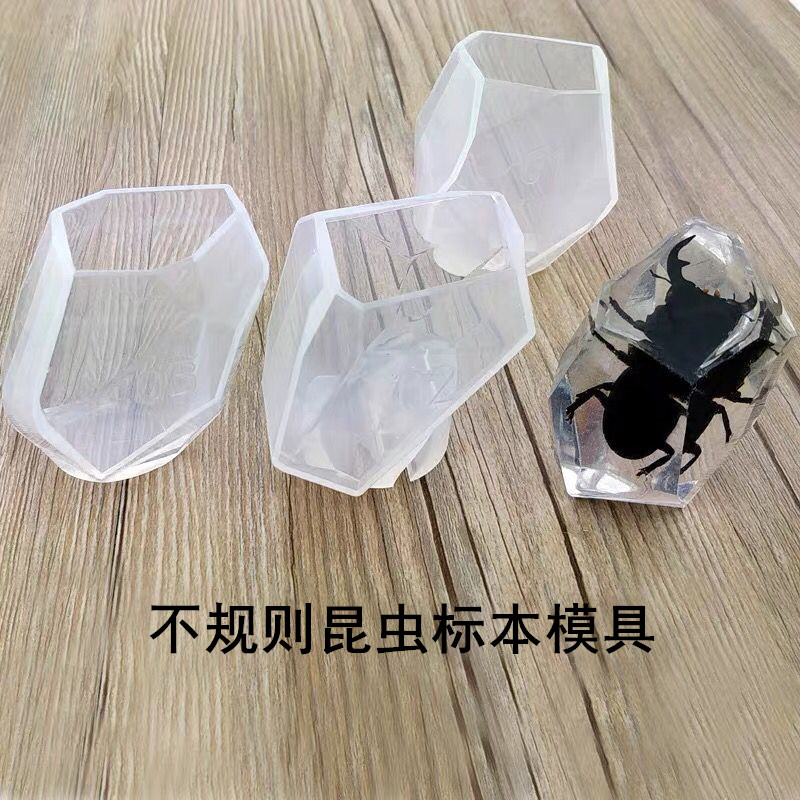 切面石头diy立体昆虫标本模具