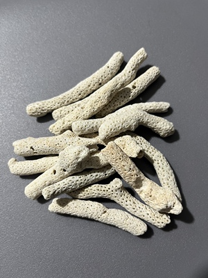 收获蚁宠物蚂蚁装饰珊瑚骨蚁巢活动区造景