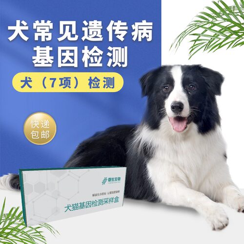 宠物基因检测 狗基因检测 犬遗传病筛查 狗狗基因筛查