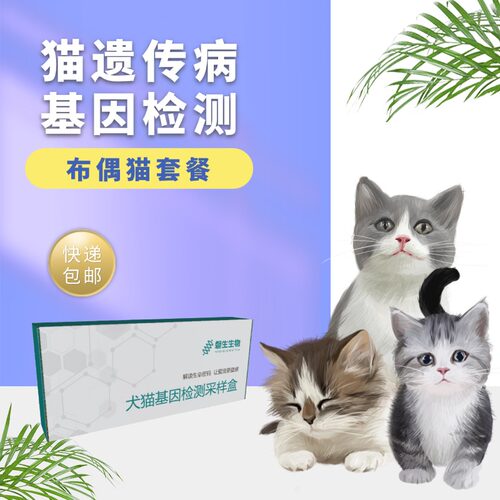 宠物基因检测 猫常见遗传病检测 布偶猫基因检测 遗传病筛