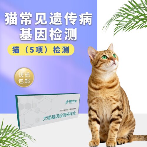 宠物基因检测 猫常见遗传病检测 猫5项基因检测 遗传病筛查