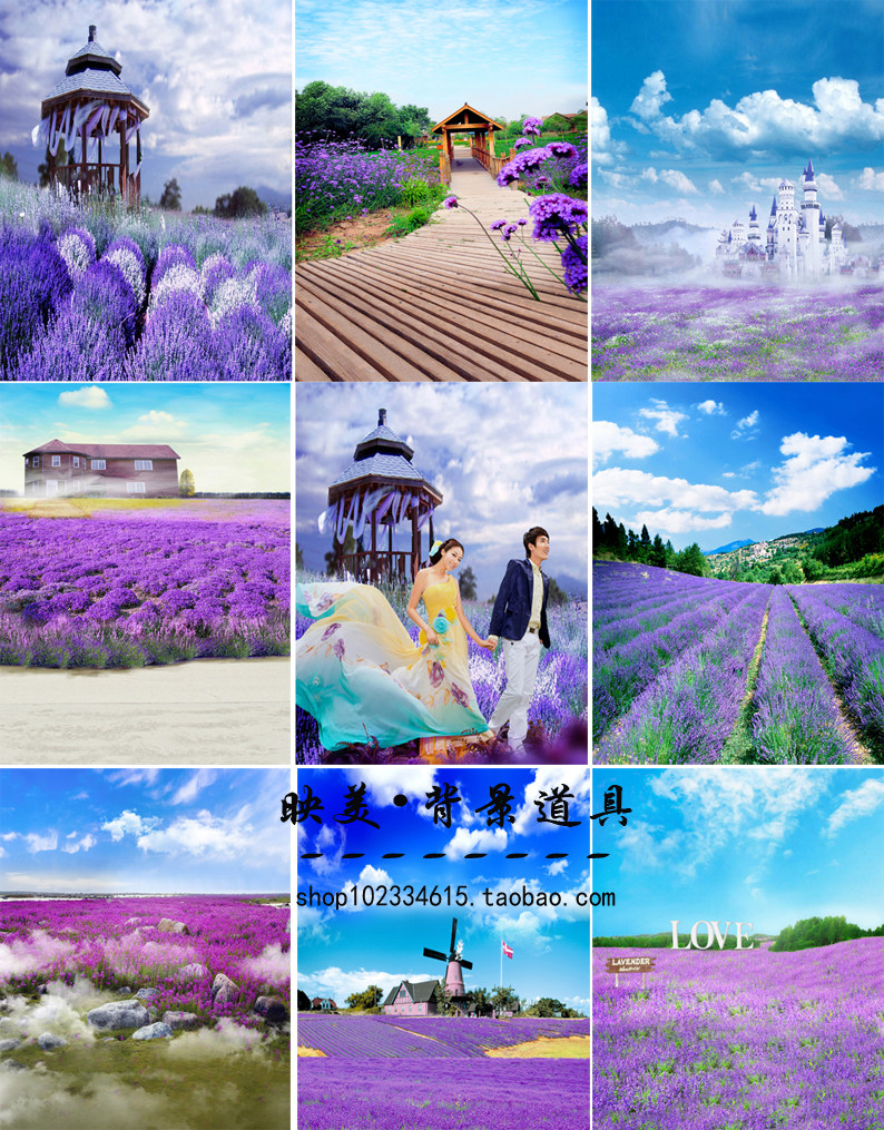 新款婚纱摄影背景布薰衣草花海花墙香草园写真儿童影楼拍照背景