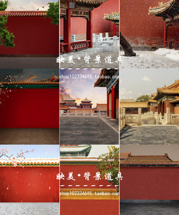 影楼拍照古装古风清宫皇宫喜庆写真全家福红色格格宫墙摄影背景纸