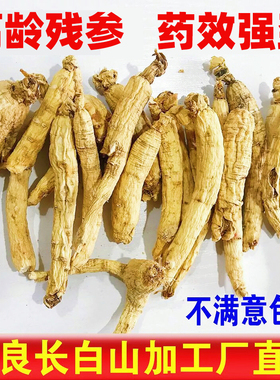 【今日特价】生晒参500g人参长白山非野山参干人参中药材白参残参