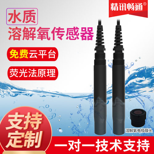 工业在线溶解氧传感器鱼塘水含氧量测定仪淡水海水水质溶解氧电极 - 封面