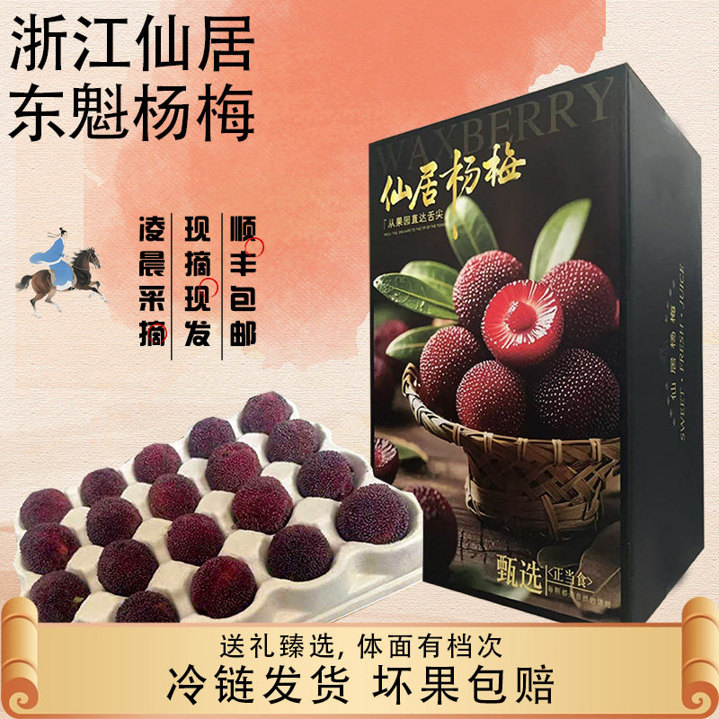 【特级】正宗浙江仙居高山东魁杨梅新鲜颗粒孕妇水果礼盒顺丰冷链