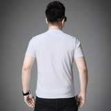 2025男夏季新款丝光棉刺绣圆领休闲短袖青年T恤D228-6002-P68，男装T恤，电商D228（原B310）