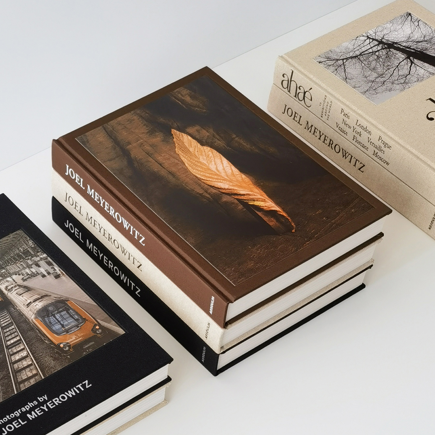 大开本中古风会所陈列艺术书籍